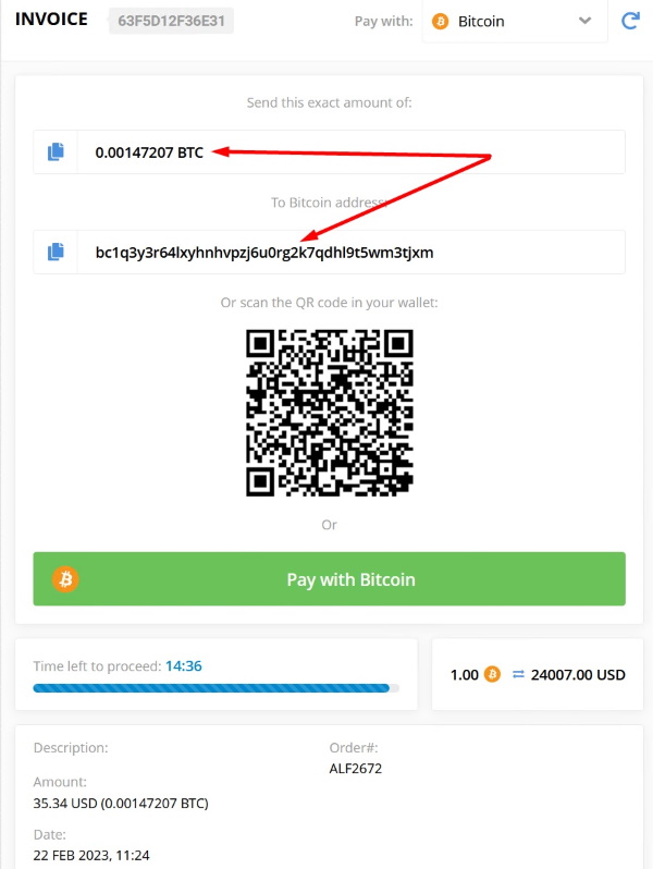 Bitcoin Payment Page